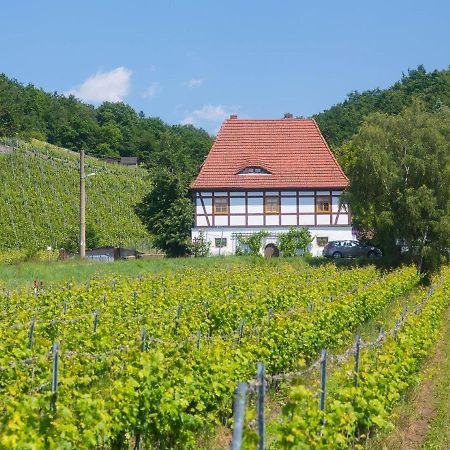 Hotel Alt Coswigerhof Extérieur photo